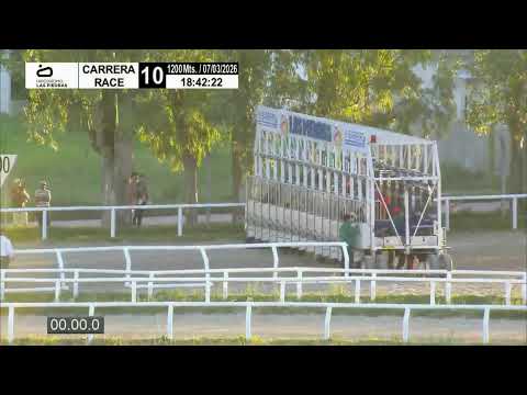 CARRERAS HIPÓDROMO LAS PIEDRAS - 7/3/26 | EN VIVO | URUGUAY