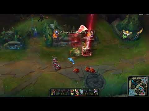 Viego & Yuumi on an adventure