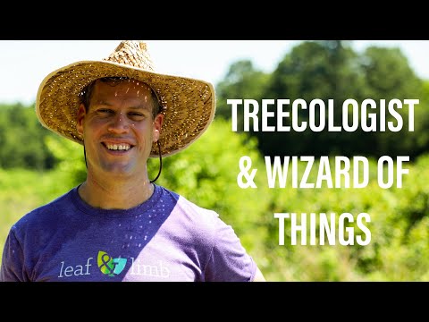 The Man Behind A New Kind of Sustainable Tree Farm
