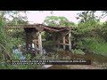 Ponte quebra na linha 176 e deixa moradores da zona rural isolados em Rolim de Moura