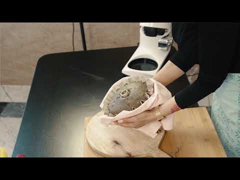 Cukrářská kniha - 99 sladkých teček Marie Baťové