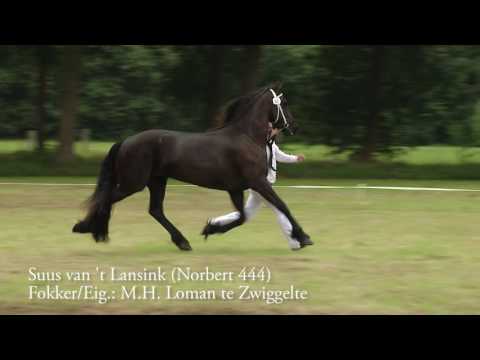 Impressie fokdag Groningen Drenthe Combinatie in Assen 2016