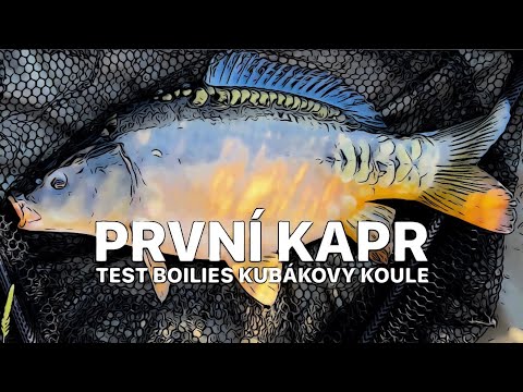 V RÁJI NUDISTŮ - PRVNÍ TEST BOILIES KUBÁKOVY KOULE™ - PRVNÍ KAPR - POP-UP NEBO TĚŽKÉ BOILIES?