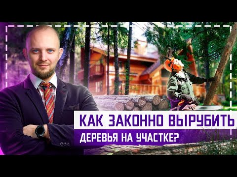 ШТРАФ!!! Как узаконить вырубку деревьев на участке? Зачем нужен дендроплан и порубочный билет?