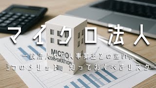 マイクロ法人：一般法人や個人事業主との違い、3つのメリット、知っておくべきリスク