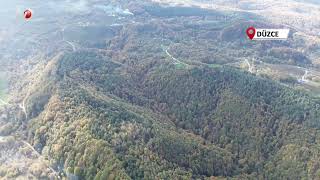 Düzce Ormanlarında Renk Cümbüşü Yaşanıyor