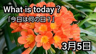 【What is today?】今日は何の日?(0305)|YouTube掲示板《ヒントストック》