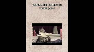 Download lagu panik gak panik gak panik lah🤣🤣🤣 mp3