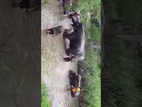 Touring Northern Thailand with lifeonwheel.com