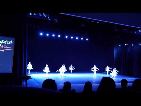 BALLET ART- FESTIVAL DANÇA CHAPECÓ