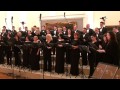 Eric Whitacre - When David Heard - Croatian ...