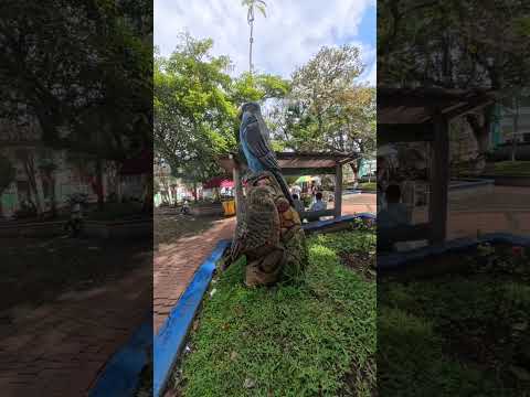 ✌️❤️🏍️ Risaralda / Apia