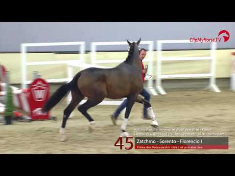 45  Zatchmo - Sorento - Florencio I