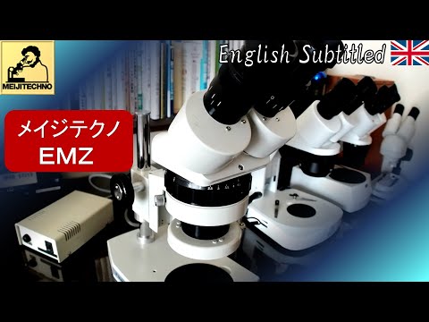 自然とテクノロジーの出会い: デジタル ワームが棒のバランスをとることを学ぶ