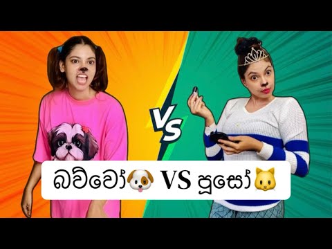 බව්වෝ🐶 Vs පූසෝ🐱🤣 | Dog VS cat | Gavi Fernando 