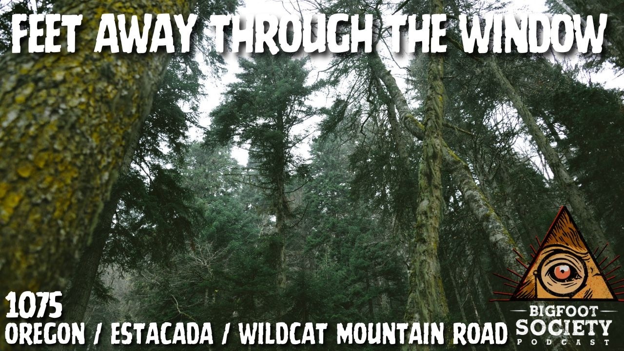 A Man From Sandy, Oregon Shares His Lifelong Encounters With The Sasquatch