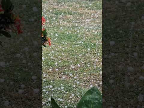caiu granizo na tempestade  catu bahia