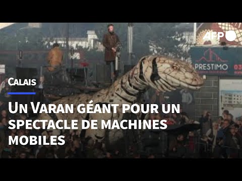 À Calais, le Varan rejoint le Dragon lors d'un spectacle "féérique" de machines mobiles | AFP
