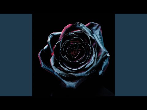 You Could Be Wild (acoustic) - Reece Mastin