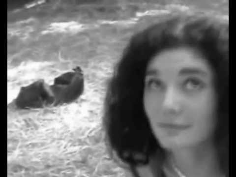 Pywik The Plasmid - Welcome to Silentek  Hill