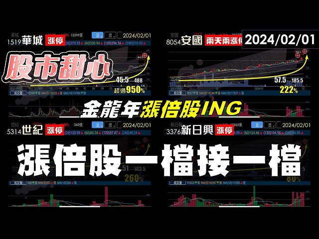 02/01【甜心盤後影音】金龍年漲倍股ING，華城股價翻十倍，漲倍股一檔接一檔