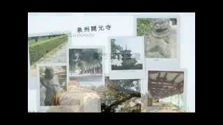 preview picture of video '2009 summer 廈門 探親 旅遊'