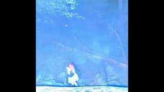 Cover art for Once then we'll be free