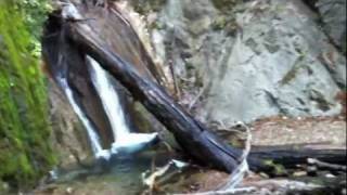 preview picture of video 'Lime Kiln State Park Waterfall'