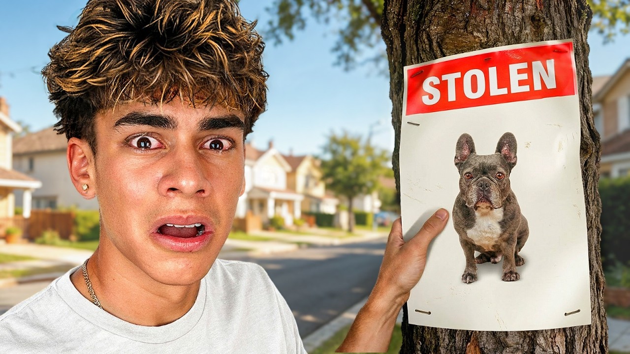 Somebody STOLE My Dog...