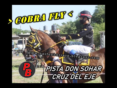 COBRA FLY, PISTA DON SOHAR (13-12-2020)