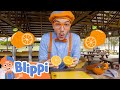 Blippi Visits An Orange Farm Blippi Videos For Kids Learning For Children