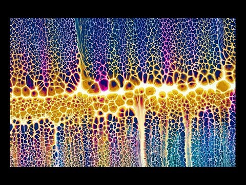 #662 Rainbow Swipe Using My Version Of The Sheleeart Bloom Recipe