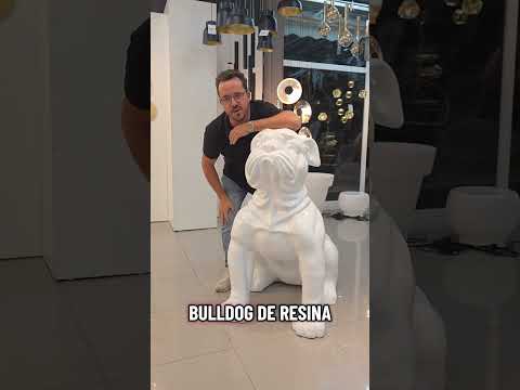 Vídeo de Figura Decorativa Bulldog Blanco Grande Schuller