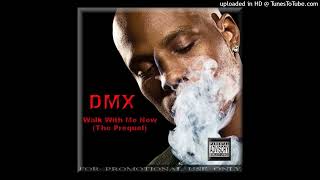 DMX - Y&#39;all Niggas