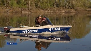 Ссылка