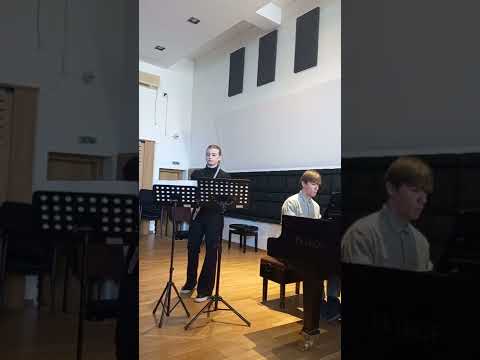 Concerto in D-major/Allegro Moderato - L.Boccherini