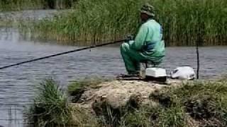 Пеленгас ловля в реке кубань