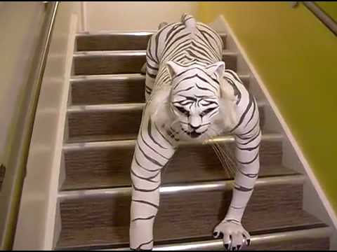 Humanimal present The Snow Tiger - www.circusperformers.com