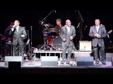 The Fidelitys "Walk With The Wind"