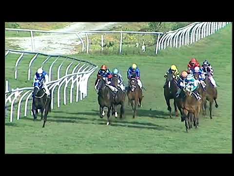 Napoli Galoppo 15/02/2022 - 5ª corsa