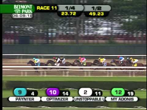 Union Rags - 2012 Belmont Stakes (G1)