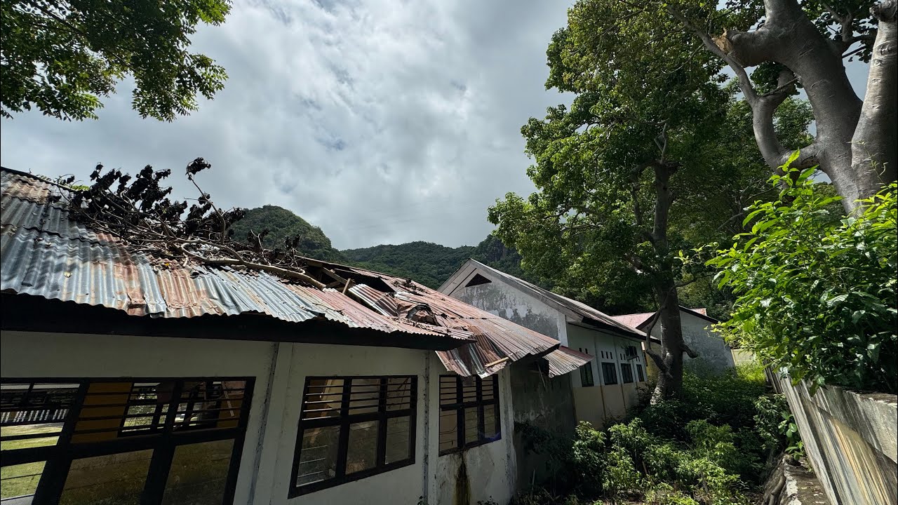 Bagunan Sekolah Rusak Tertimpah Pohon, Tien Berharap Pemerintah Kota Gorontalo Segera Perbaiki