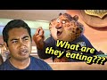 Zootopia Pop Culture And Animals With Scott David