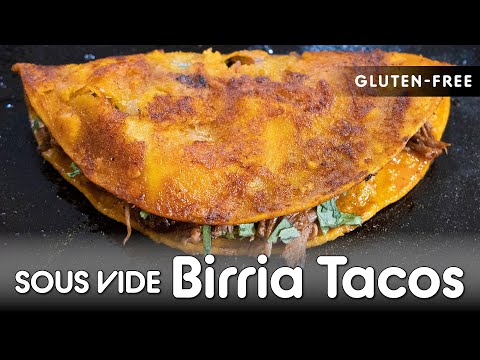 1st YouTube video about are birria tacos gluten free