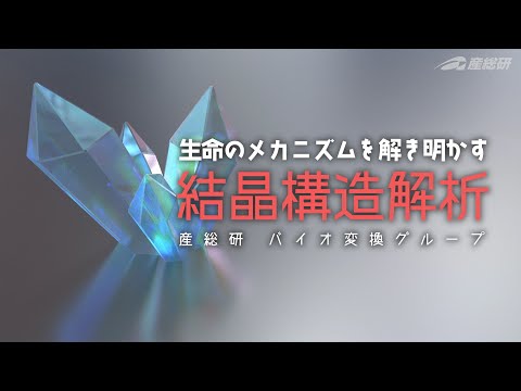 フィロンサスについて詳しく解説