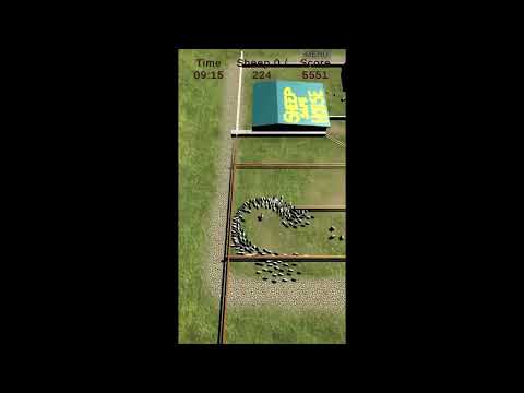 SHEEPDOG CHALLENGE