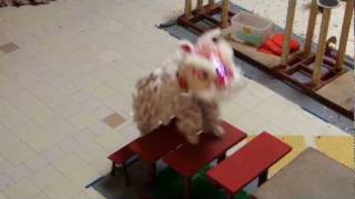 Hoong Tuck Girls' Lion Dance