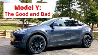 Model Y: The Good and Bad
