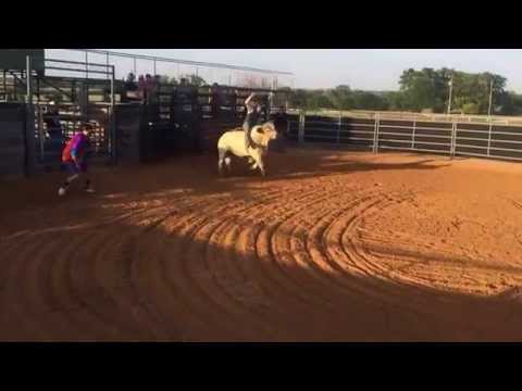Big Gun Bucking Bulls - White Angel