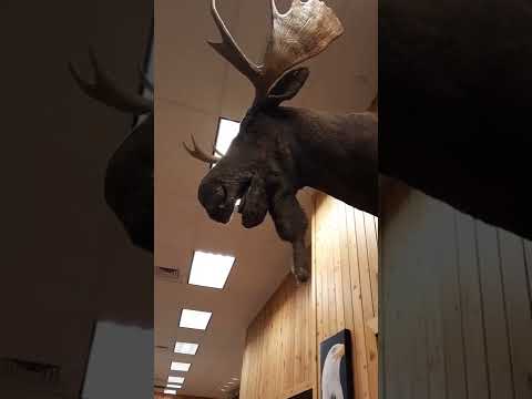 Trip To Cabela's in Triadelphia WV. 5/28/2022